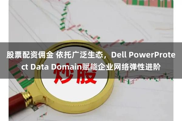 股票配资佣金 依托广泛生态，Dell PowerProtect Data Domain赋能企业网络弹性进阶