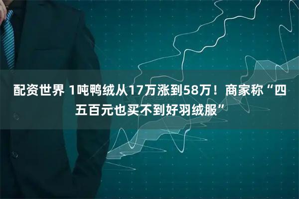 配资世界 1吨鸭绒从17万涨到58万！商家称“四五百元也买不到好羽绒服”